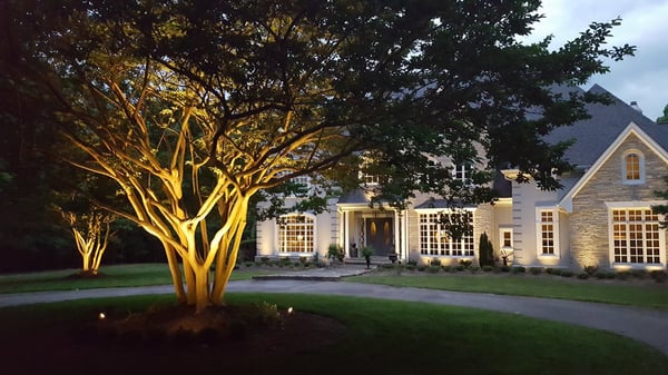 Highlight accents in the yard with landscape lighting.