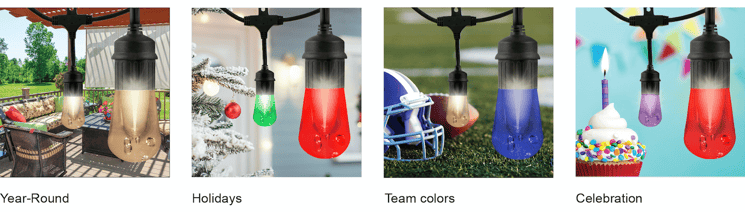 Enbrighten Color Changing Cafe lights