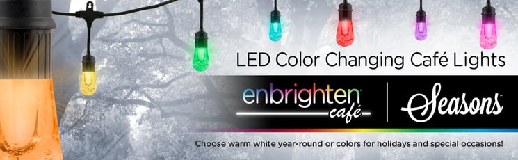 Enbrighten Color Changing Cafe lights