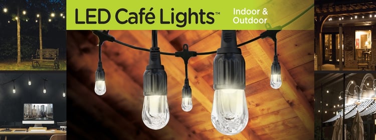 Why we love Enbrighten Cafe String Lights, and you will too!