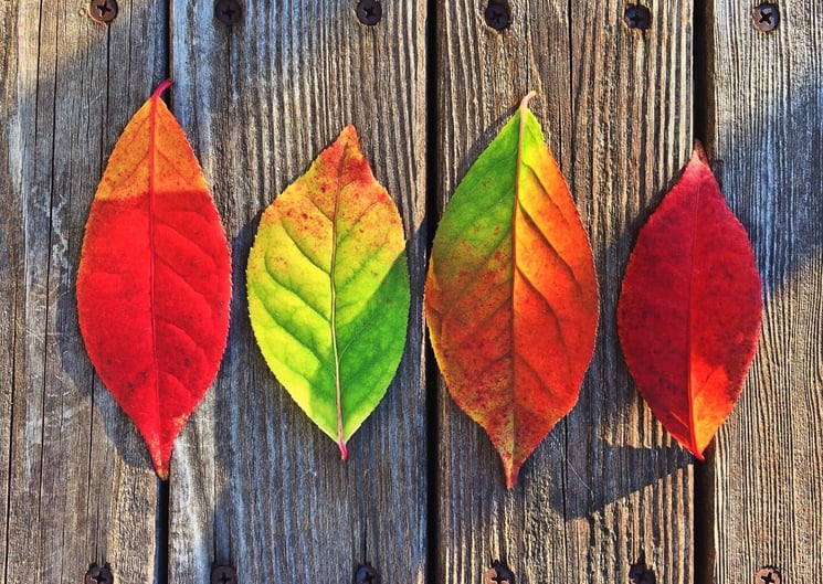 Follow these 4 tips to make your outdoor space a cozy spot you can still enjoy this fall.