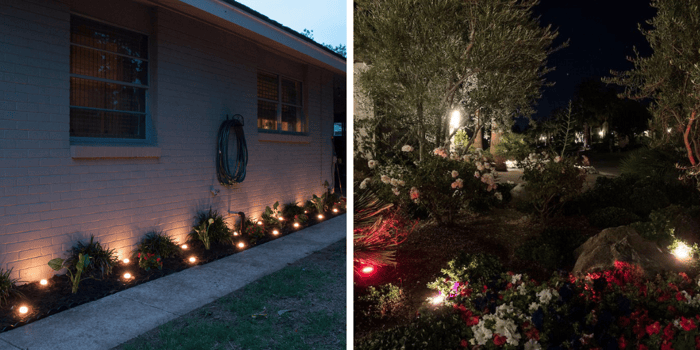 enbrighten-landscape-lights-in-flower-bed