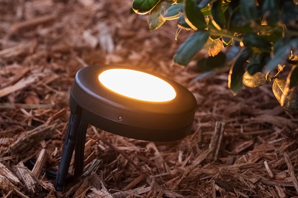 Add proximity to your outdoor lighting with Enbrighten Landscape Lights.