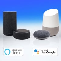 Amazon Alexa and Google Play