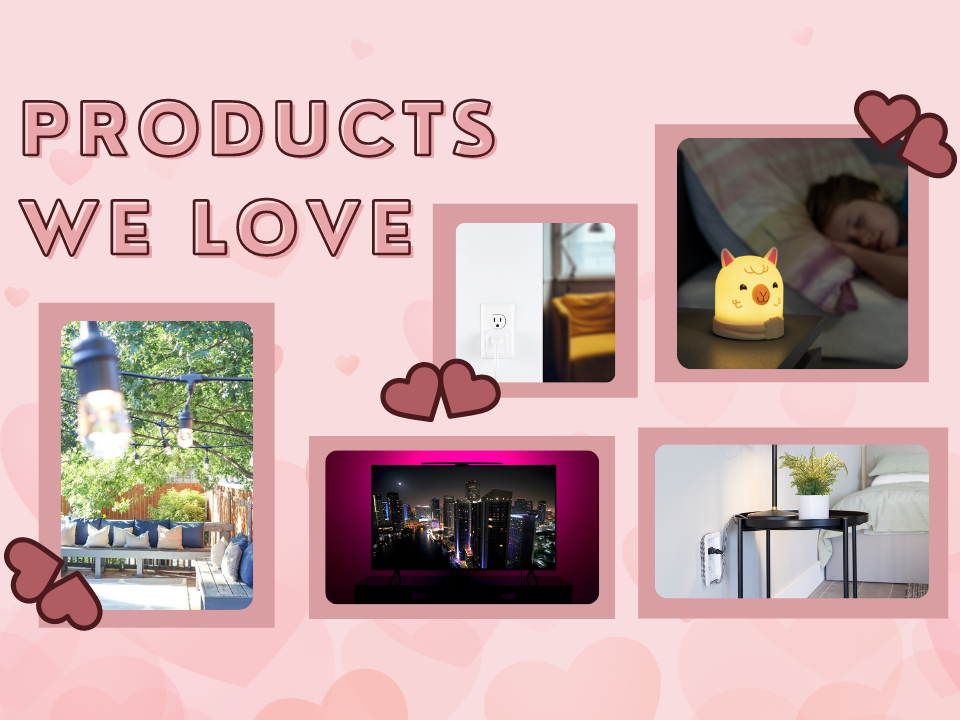 Products We LOVE Blog -1