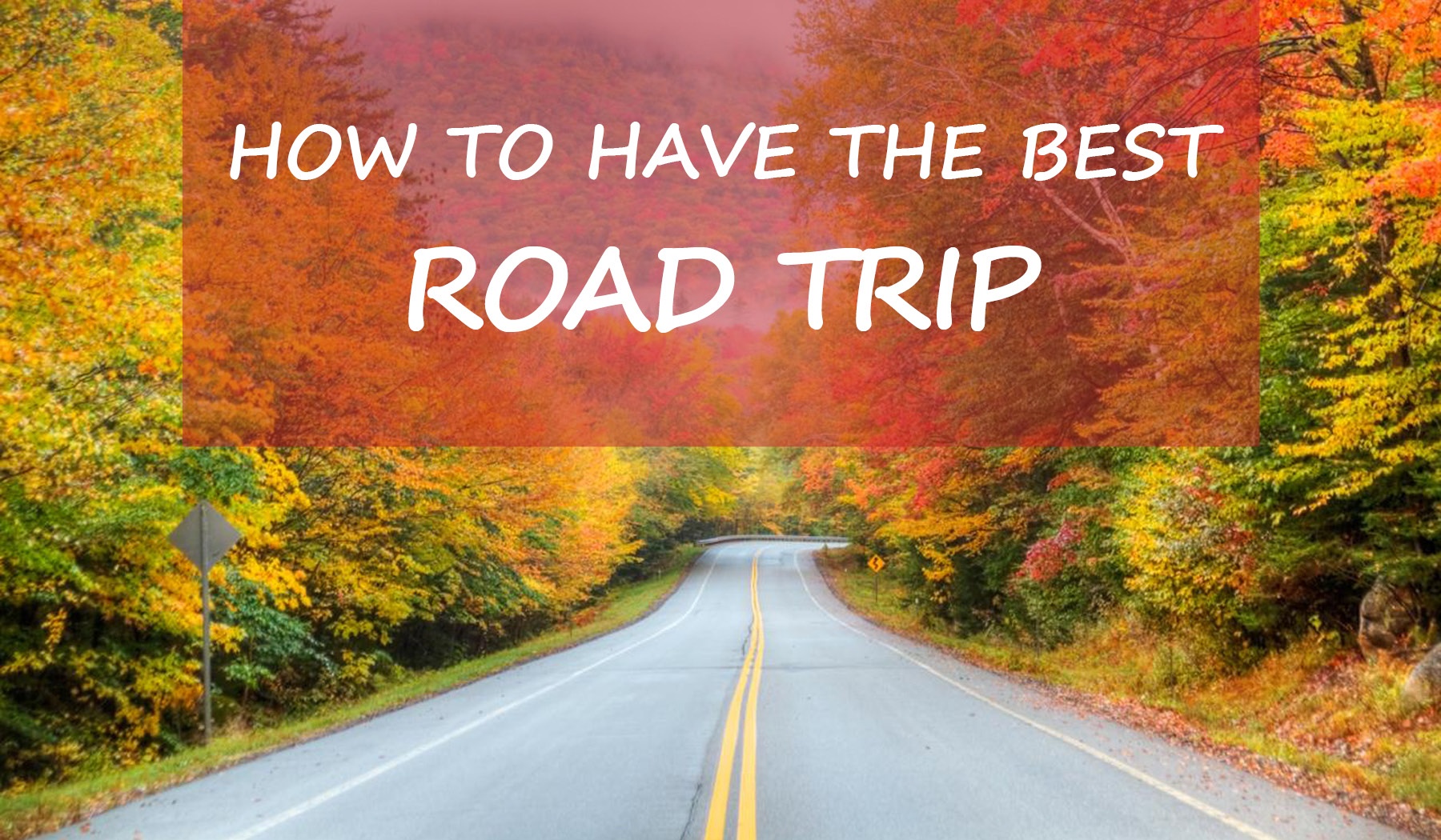 How to Have the Best Road Trip.jpg
